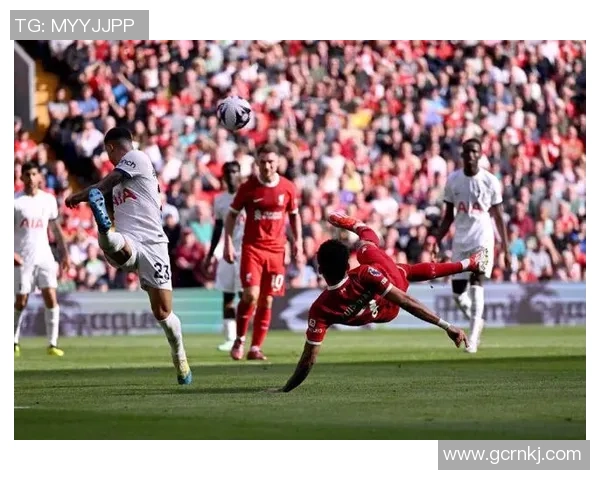 2018年利物浦与热刺精彩对决全场录像回放及精彩瞬间分析 2018年利物浦与热刺精彩对决全场录像回放及精彩瞬间分析