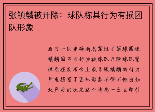 张镇麟被开除：球队称其行为有损团队形象